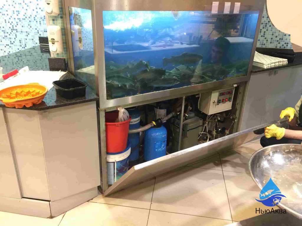 ремонт аквариумов