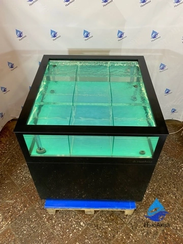 Витрина-аквариум