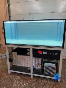 Аквариум в ресторане