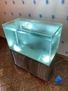 Торговый аквариум для толстолобика