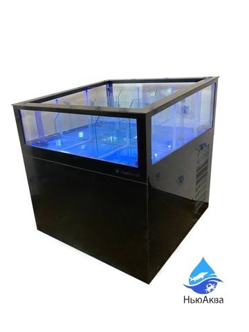 Устричная витрина аквариум