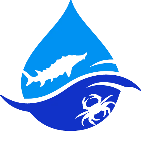 Логотип НьюАква