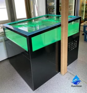 Морская витрина комбинированная