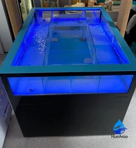 Комбинированная витрина. Морская и пресная вода вместе.