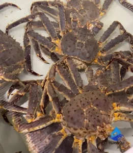 Камчатский краб