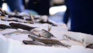 Аквариум купить в магазин