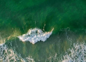 Море для омара