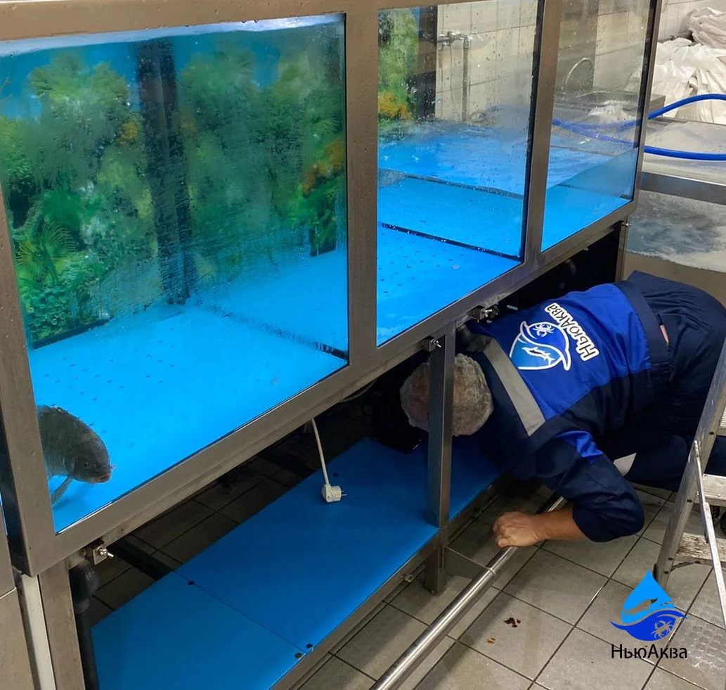 Обслуживание аквариума