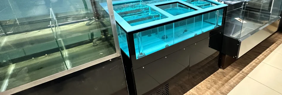 Три морских аквариума в одном корпусе