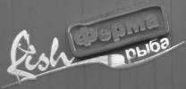 Бисеровский рыбокомбинат