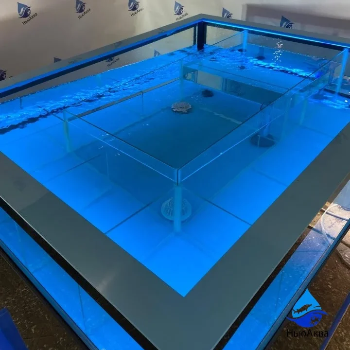 Комбинированный аквариум для морепродуктов